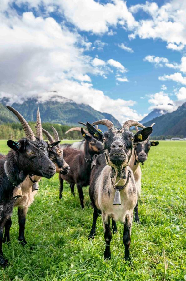 Appartamento Honzarhof Längenfeld Esterno foto